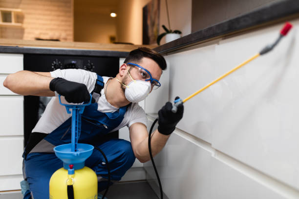 Best Best Pest Control Companies  in Wilder, VT