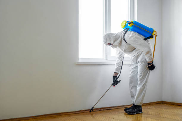 Pest Control Cost in Wilder, VT