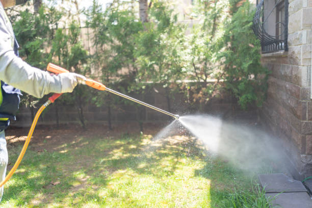 Best Pest Prevention Services  in Wilder, VT
