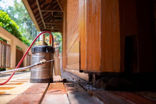 Best Best Pest Control Companies  in Wilder, VT