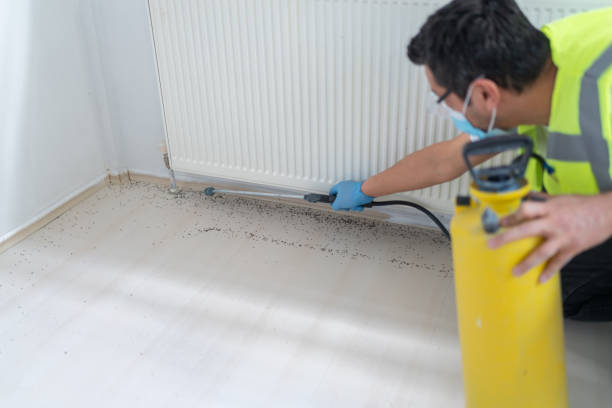 Best Exterminator Services  in Wilder, VT