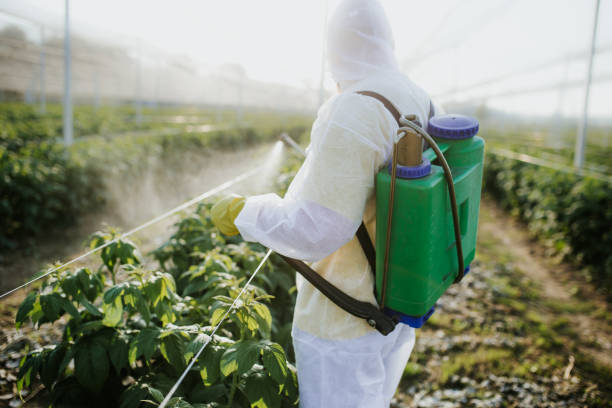 Reliable Wilder, VT Pest Control Solutions